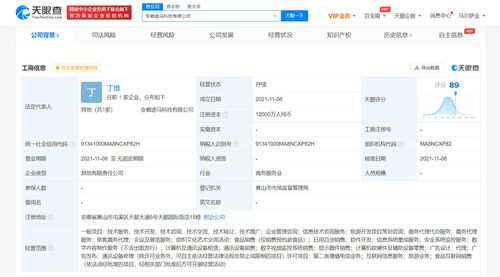 蚂蚁集团携手黄山旅游成立合资公司，1.2亿资本共绘智慧旅游新蓝图
